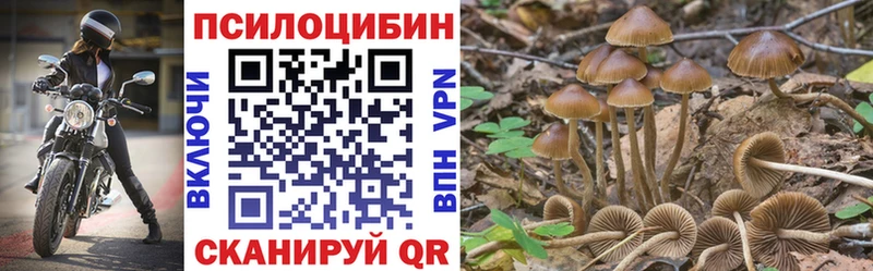 ссылка на мегу рабочий сайт  Березники  Галлюциногенные грибы Cubensis  как найти закладки 