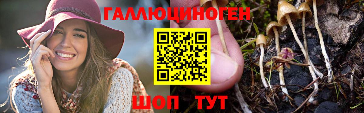 Галлюциногенные грибы ЛСД  Псилоцибиновые грибы Cubensis  Березники  Вход с VPN 